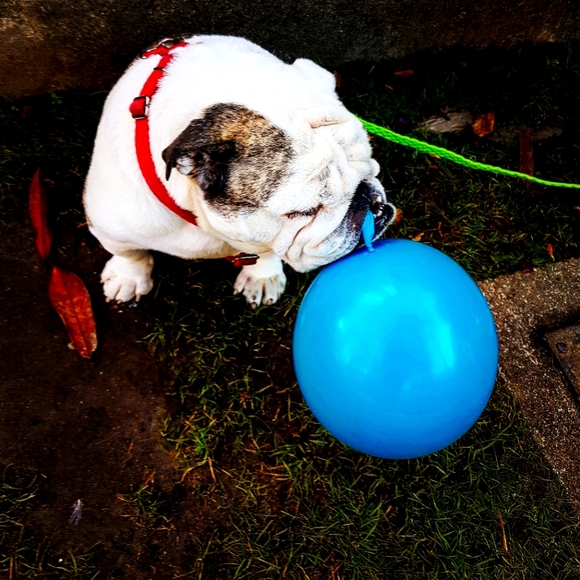 Men and Women  clothing and accessories - Picture 1 of 1